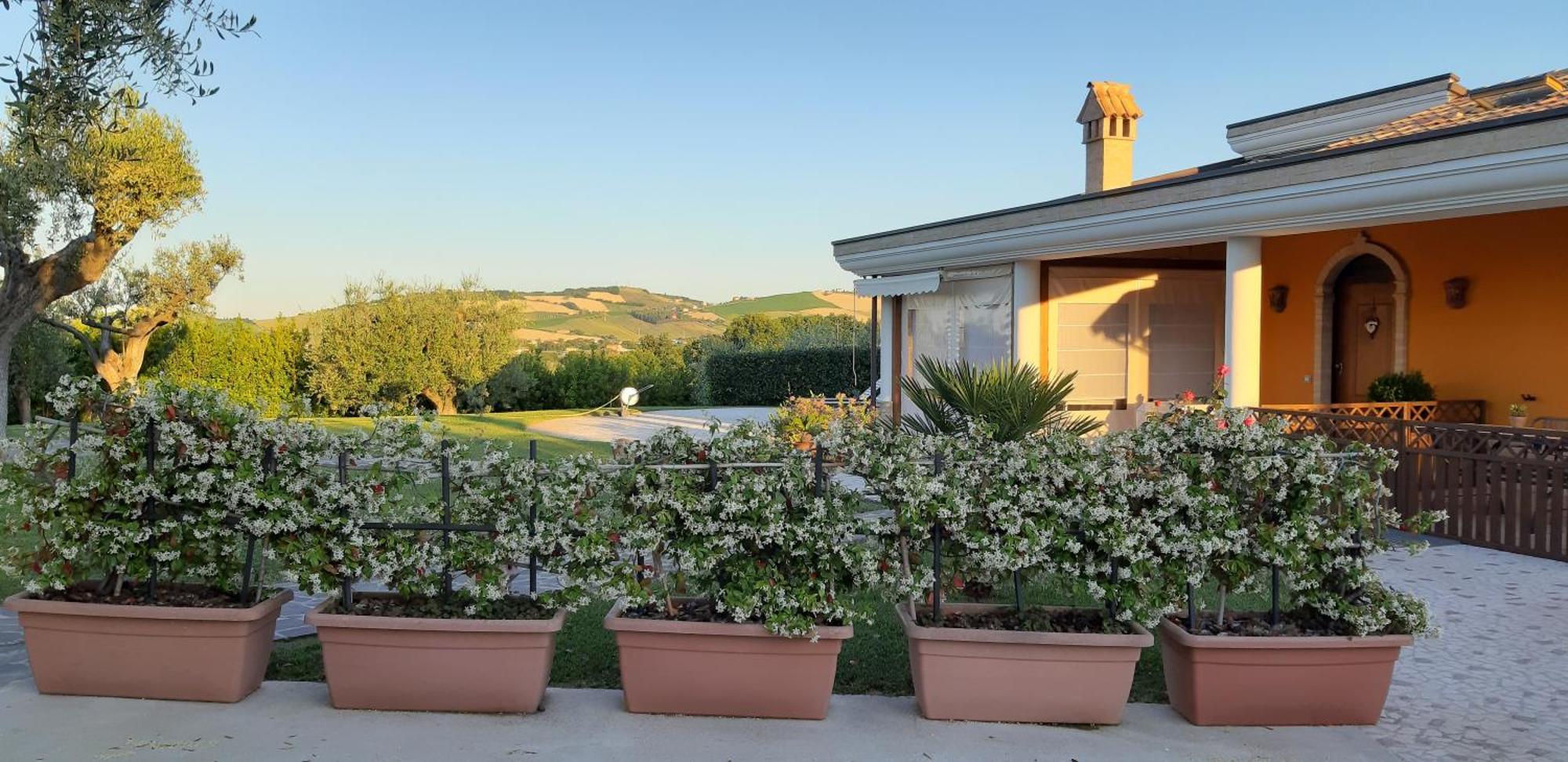 B&B Agrifoglio Sant'Elpidio a Mare Luaran gambar
